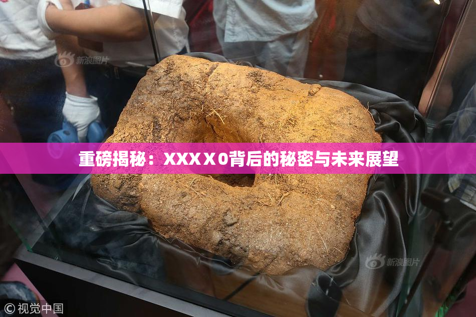 重磅揭秘：XXXⅩ0背后的秘密与未来展望