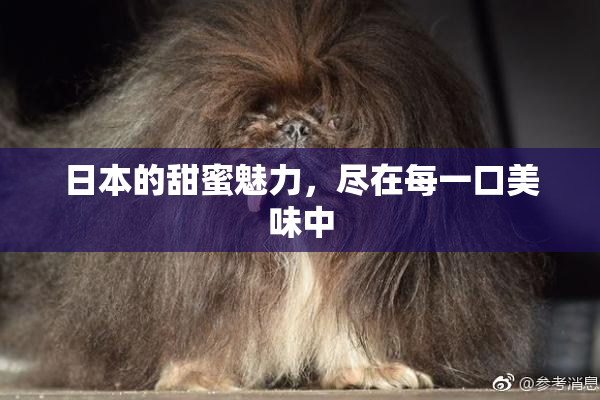 日本的甜蜜魅力，尽在每一口美味中