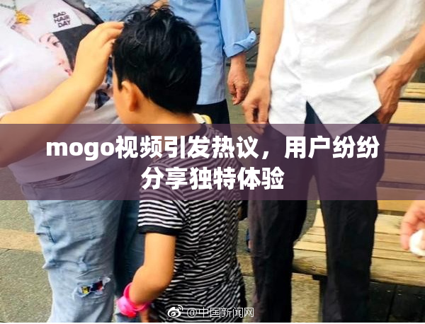 mogo视频引发热议，用户纷纷分享独特体验