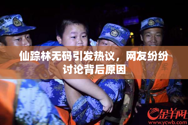 仙踪林无码引发热议，网友纷纷讨论背后原因