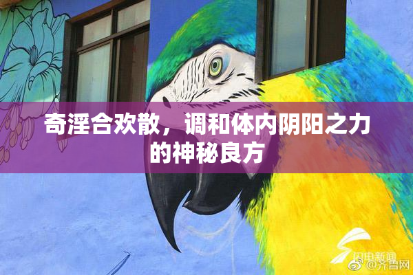 奇淫合欢散，调和体内阴阳之力的神秘良方