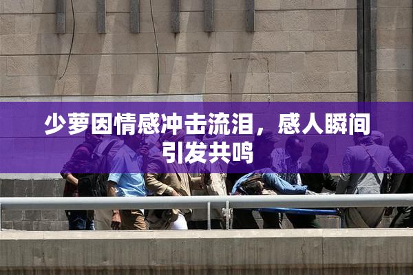 少萝因情感冲击流泪，感人瞬间引发共鸣