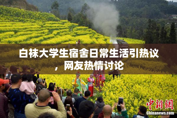 白袜大学生宿舍日常生活引热议，网友热情讨论