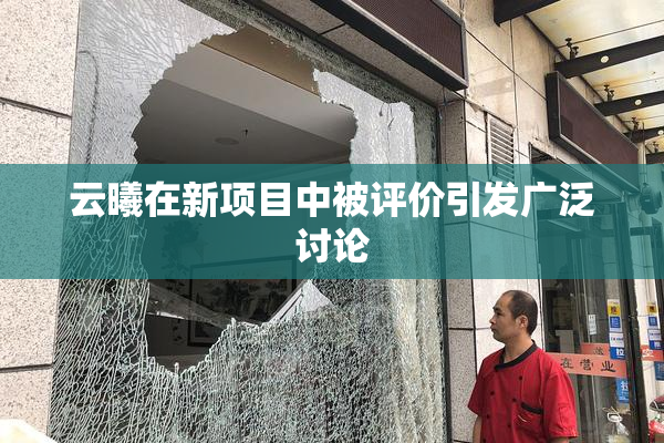 云曦在新项目中被评价引发广泛讨论