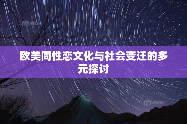 欧美同性恋文化与社会变迁的多元探讨
