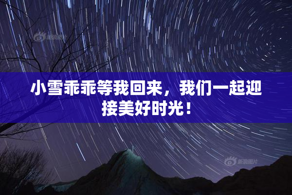 小雪乖乖等我回来，我们一起迎接美好时光！
