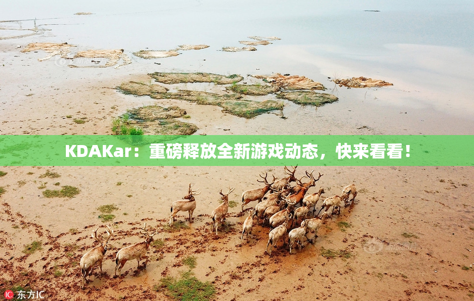 KDAKar：重磅释放全新游戏动态，快来看看！