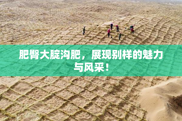 肥臀大腚沟肥，展现别样的魅力与风采！
