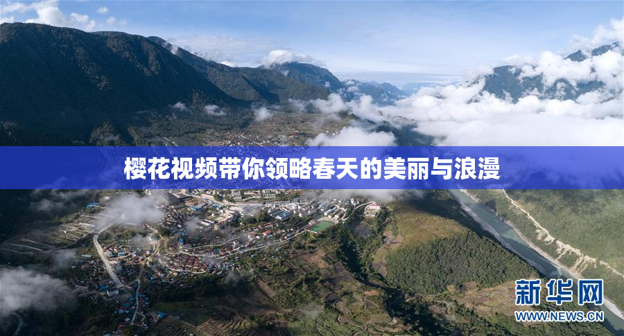 樱花视频带你领略春天的美丽与浪漫