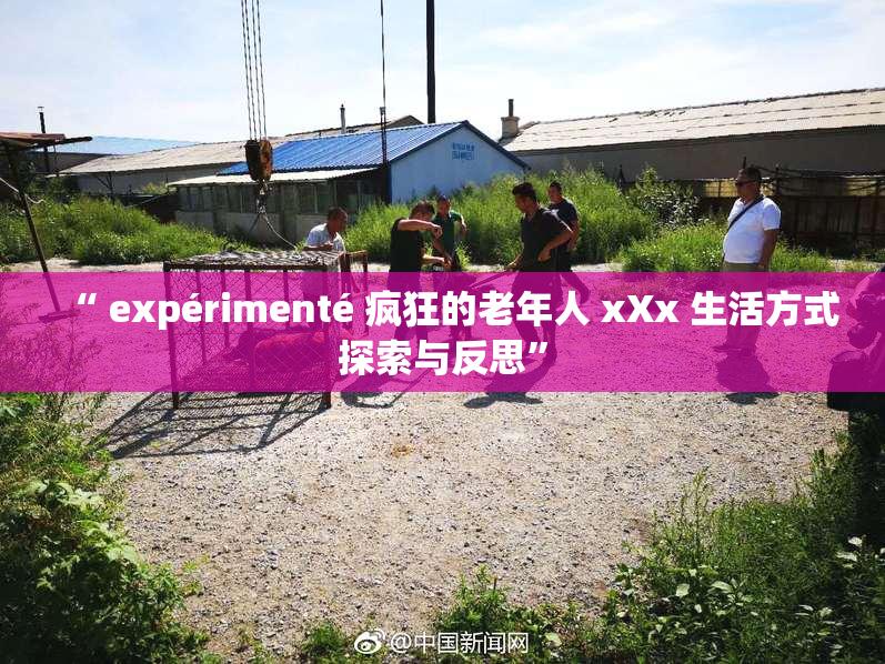 “ expérimenté 疯狂的老年人 xXx 生活方式探索与反思”