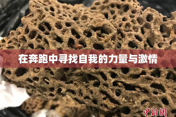 在奔跑中寻找自我的力量与激情