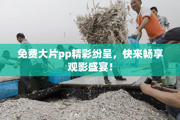 免费大片pp精彩纷呈，快来畅享观影盛宴！