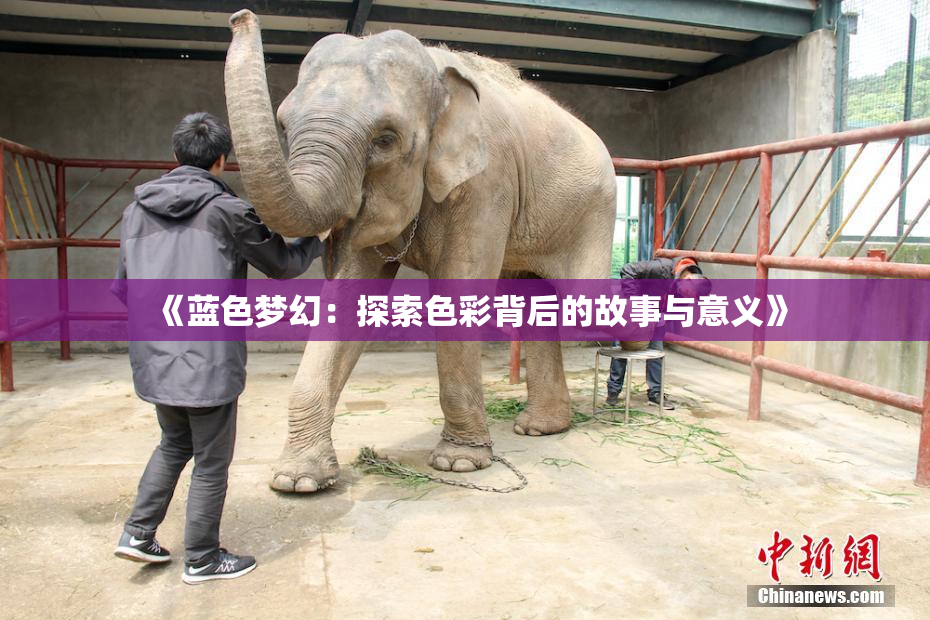 《蓝色梦幻：探索色彩背后的故事与意义》