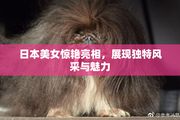 日本美女惊艳亮相，展现独特风采与魅力