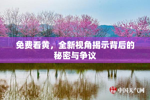 免费看黄，全新视角揭示背后的秘密与争议