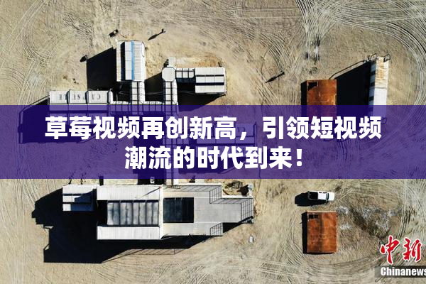 草莓视频再创新高，引领短视频潮流的时代到来！
