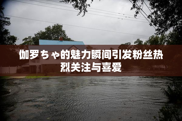 伽罗ちゃ的魅力瞬间引发粉丝热烈关注与喜爱