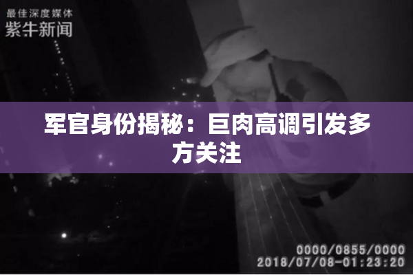 军官身份揭秘：巨肉高调引发多方关注