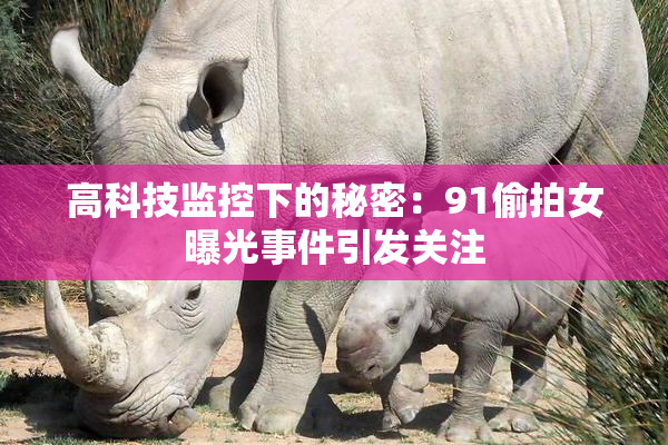 高科技监控下的秘密：91偷拍女曝光事件引发关注
