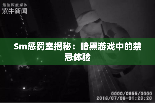 Sm惩罚室揭秘：暗黑游戏中的禁忌体验