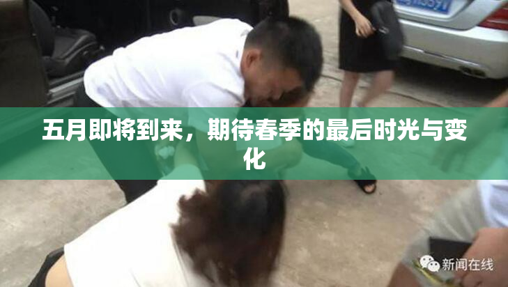 五月即将到来，期待春季的最后时光与变化