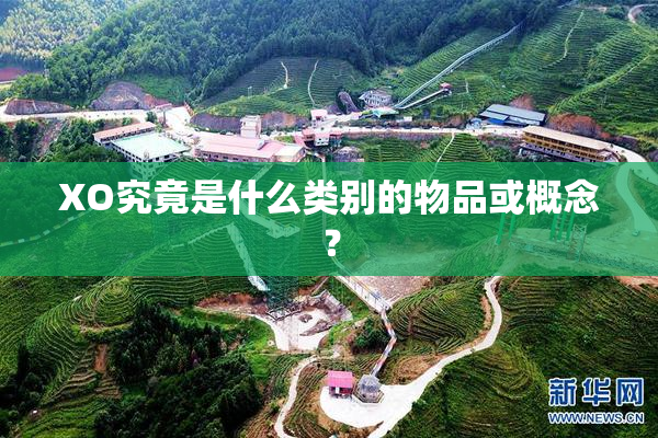 XO究竟是什么类别的物品或概念？