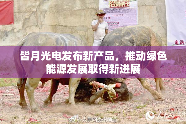 皆月光电发布新产品，推动绿色能源发展取得新进展