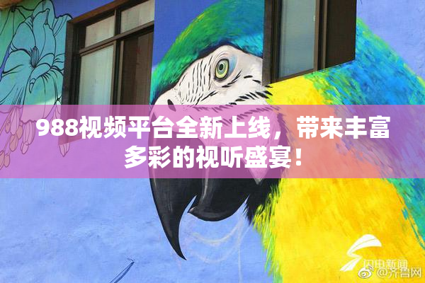 988视频平台全新上线，带来丰富多彩的视听盛宴！
