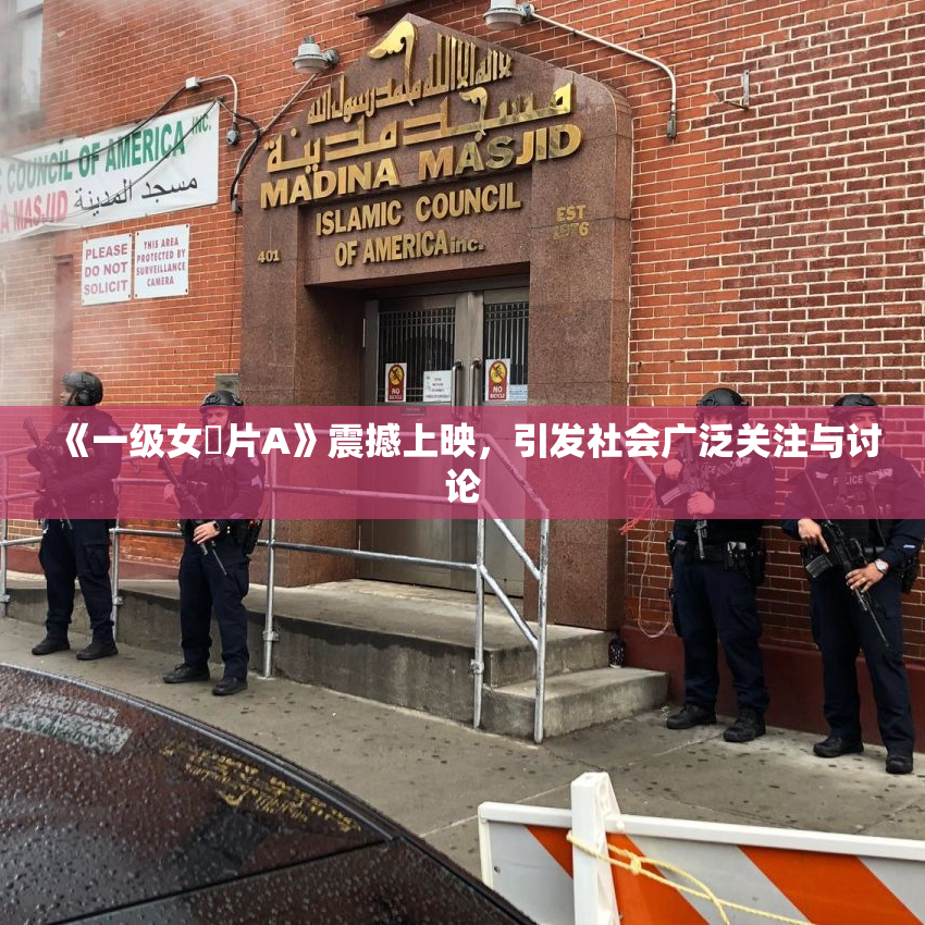 《一级女婬片A》震撼上映，引发社会广泛关注与讨论