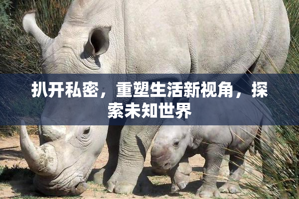 扒开私密，重塑生活新视角，探索未知世界