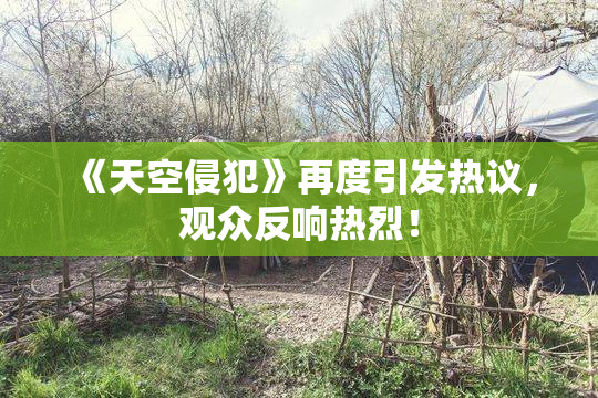 《天空侵犯》再度引发热议，观众反响热烈！