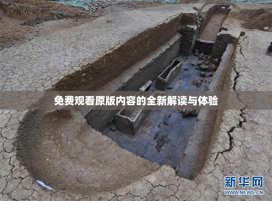 免费观看原版内容的全新解读与体验