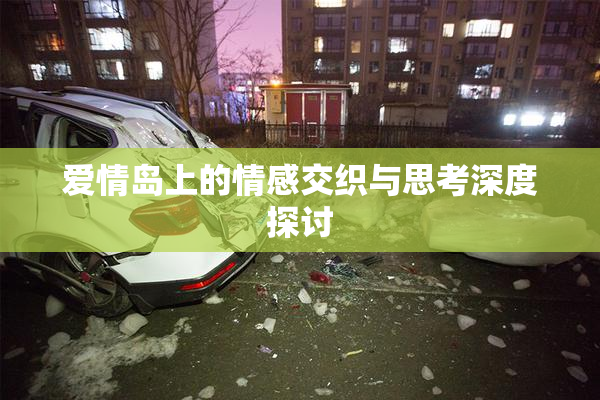 爱情岛上的情感交织与思考深度探讨