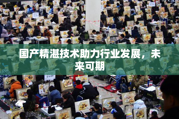 国产精湛技术助力行业发展，未来可期