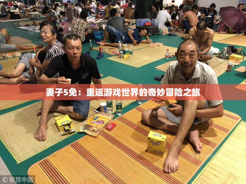 妻子5免：重返游戏世界的奇妙冒险之旅