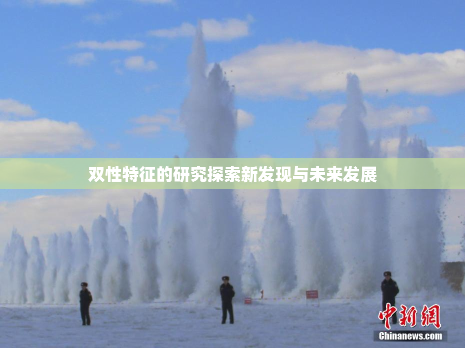 双性特征的研究探索新发现与未来发展