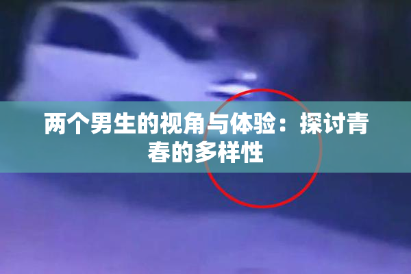两个男生的视角与体验：探讨青春的多样性