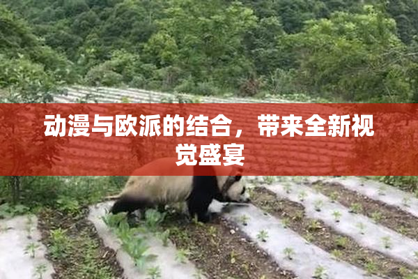 动漫与欧派的结合，带来全新视觉盛宴