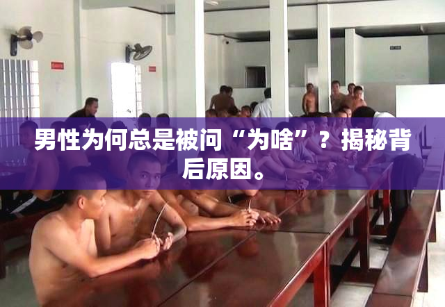 男性为何总是被问“为啥”？揭秘背后原因。