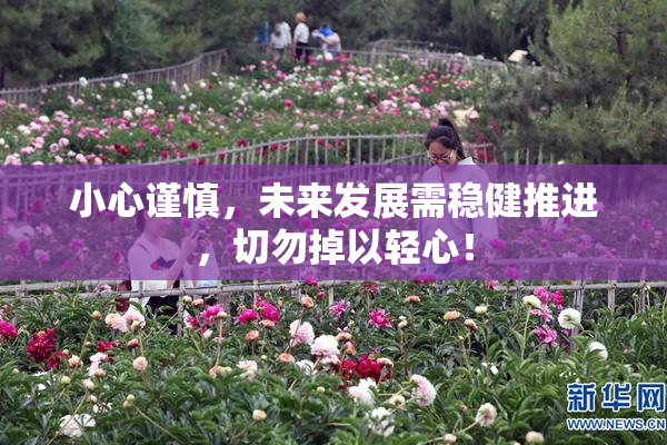 小心谨慎，未来发展需稳健推进，切勿掉以轻心！