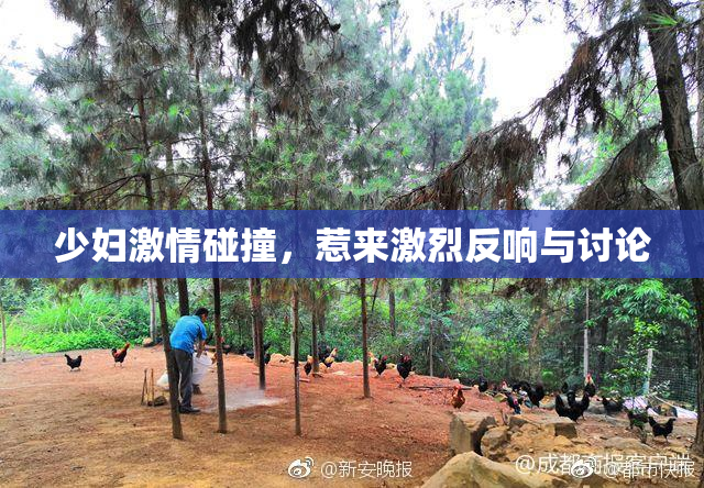 少妇激情碰撞，惹来激烈反响与讨论