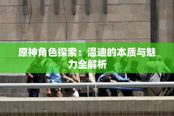 原神角色探索：温迪的本质与魅力全解析