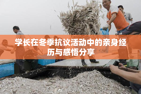 学长在冬季抗议活动中的亲身经历与感悟分享