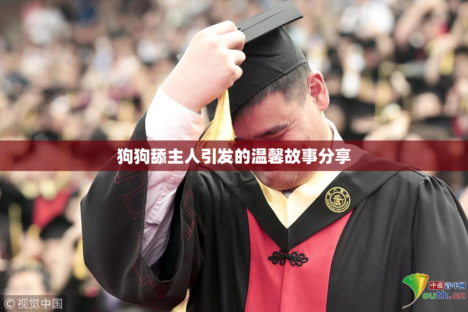 狗狗舔主人引发的温馨故事分享
