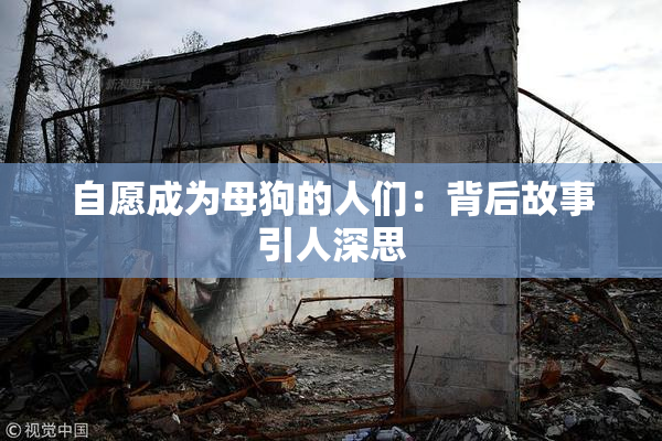 自愿成为母狗的人们：背后故事引人深思