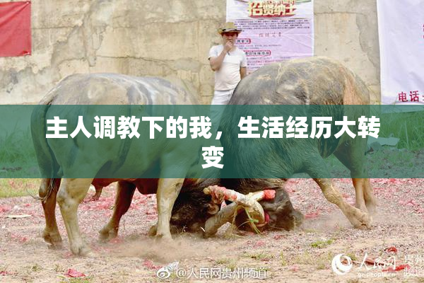 主人调教下的我，生活经历大转变