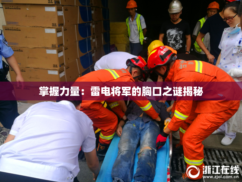 掌握力量：雷电将军的胸口之谜揭秘