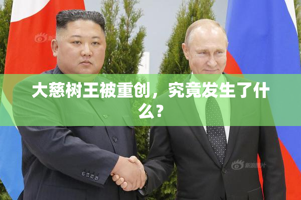 大慈树王被重创，究竟发生了什么？
