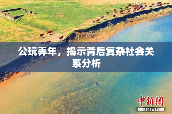 公玩弄年，揭示背后复杂社会关系分析