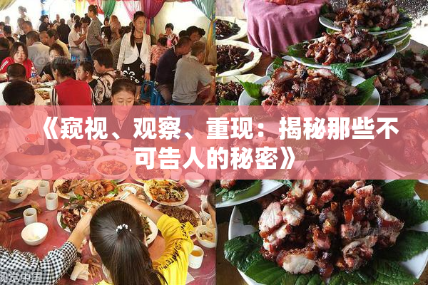 《窥视、观察、重现：揭秘那些不可告人的秘密》